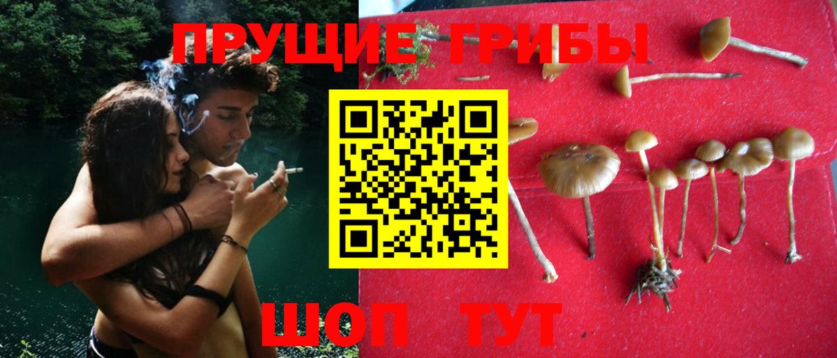Псилоцибиновые грибы прущие грибы Чехов